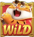 Tigre (Wild)